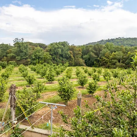 Σπίτι διακοπών Pons De Dalt A La Selva
